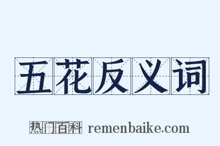 五花反义词是什么意思的图片